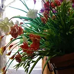 La Terrazza Del Borgo