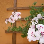La Terrazza Del Borgo 住宿加早餐酒店 阿格里真托