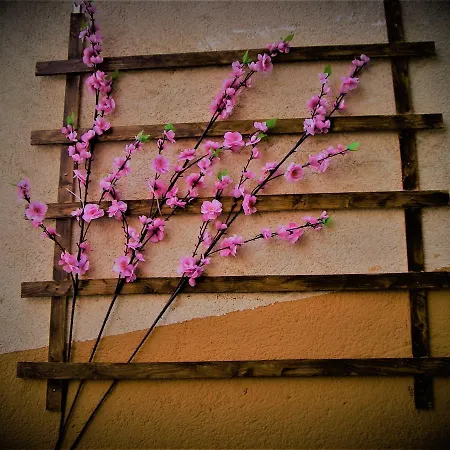 住宿加早餐酒店 La Terrazza Del Borgo