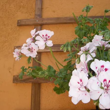 La Terrazza Del Borgo 住宿加早餐酒店 阿格里真托